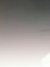 仆从