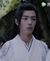 魏无羡.