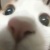 老师