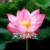 生物老师