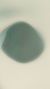 白茶茶