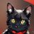 猫猫黑小七