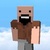 Notch