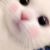 程妈