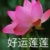 黄毛