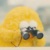 宋亚轩