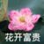 老師