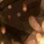 作者