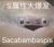 龙套们