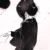 白莉