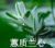 英语老师