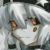 帕洛斯