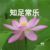 柳清风（顾母）