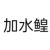 加比纳的爸爸