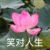 左母
