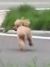 雨菲