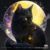 踏雪玄猫.星玄