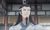 蓝启仁