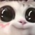 系统君