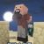 Notch