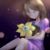 aliza