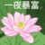 林父亲