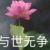 妈妈