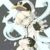 白金
