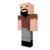 notch