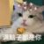 张小宝（系统）