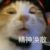 攻略系统小安