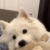 石头