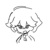 Ender