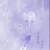 系统（荧）