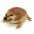 狗·作者