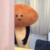 导演