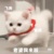 爸爸