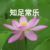 叶父