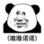 选项问题君