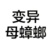 母蟑螂也想谈恋爱