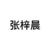 张梓晨