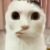 作者