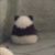 张泽禹