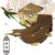 唐明