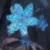 狐貍精