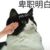 懒懒茄