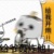 年瓜