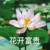 教导主任