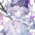 格蕾丝