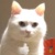 萬能